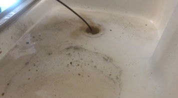 Shower and Tub Drain Clean