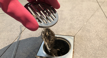 Bathroom Drain Cleaning